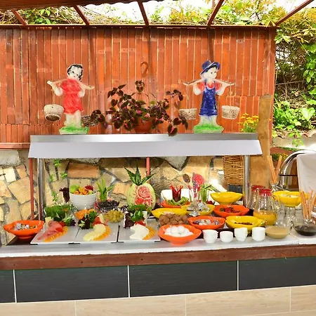 شقة فندقية Almila 2*