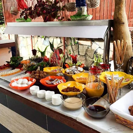 شقة فندقية Almila